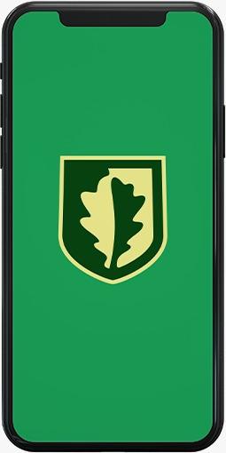 mobile banking