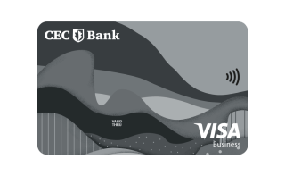 Card de debit visa business
