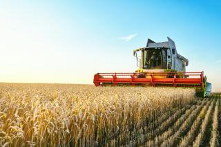 site agri