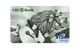 card credit visa platinum cecin